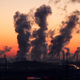 Illustration for article titled Study Shows That Soot From Polluted Air Can Reach the Placenta